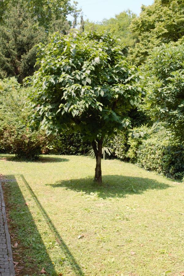 Appartamento Le Magnolie Mestre Exterior foto